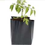 Sacos para plantas 15x20 ou 20x30