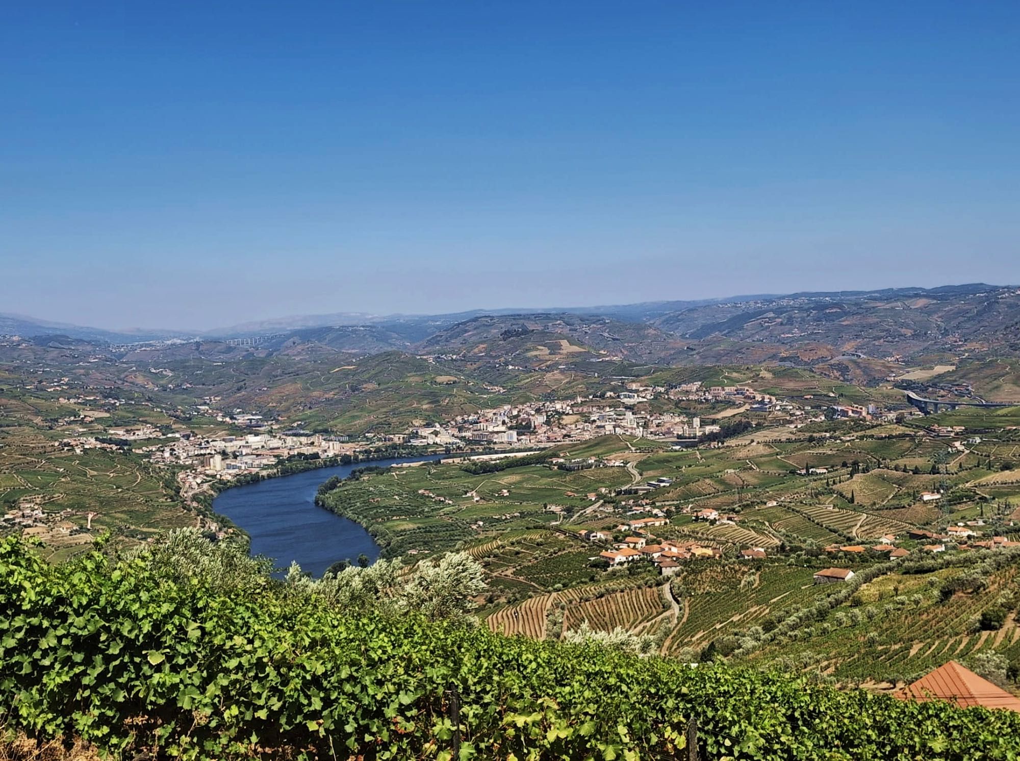 Vende-se Terreno no Alto Douro Vinhateiro