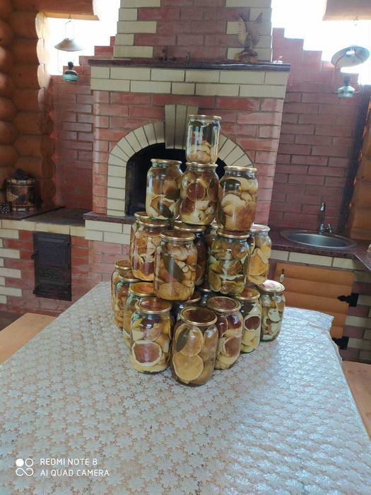 Білі гриби мариновані