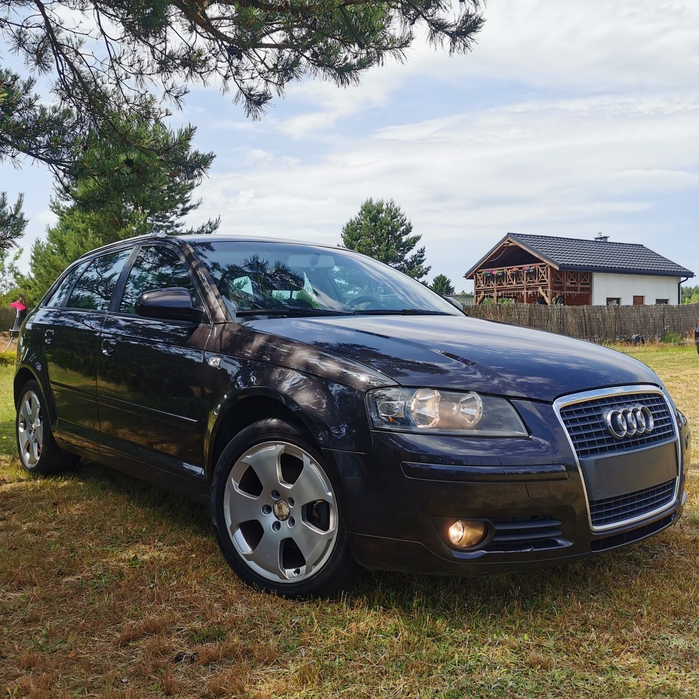 Audi A3 8P 2006r 1.9TDI 105KM  5 drzwi