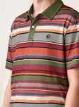 Polos de Homem NOVOS - XL e XXL