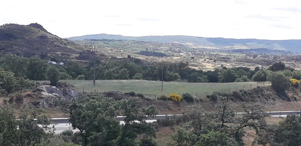 Quinta 14,5 hectares