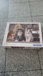 Puzzle 1000 szt clementoni kotki koty