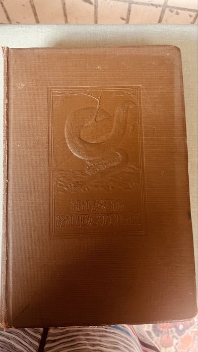 Брем Жизнь животных» 1931
