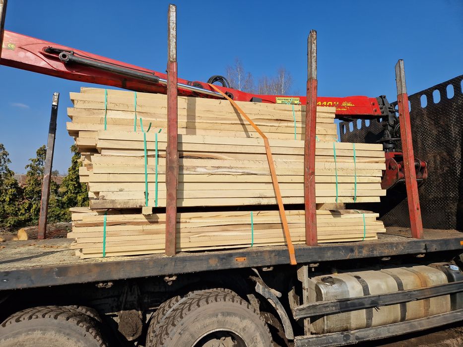 Belki /Tarcica Akacjowa/Dębowa