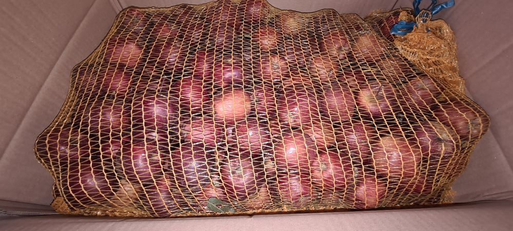 20kg jabłka z sadu amatorskiego