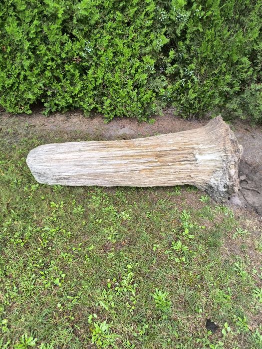 Stalagmity skały kamienie ozdoba ogrodu stalagmit Opole