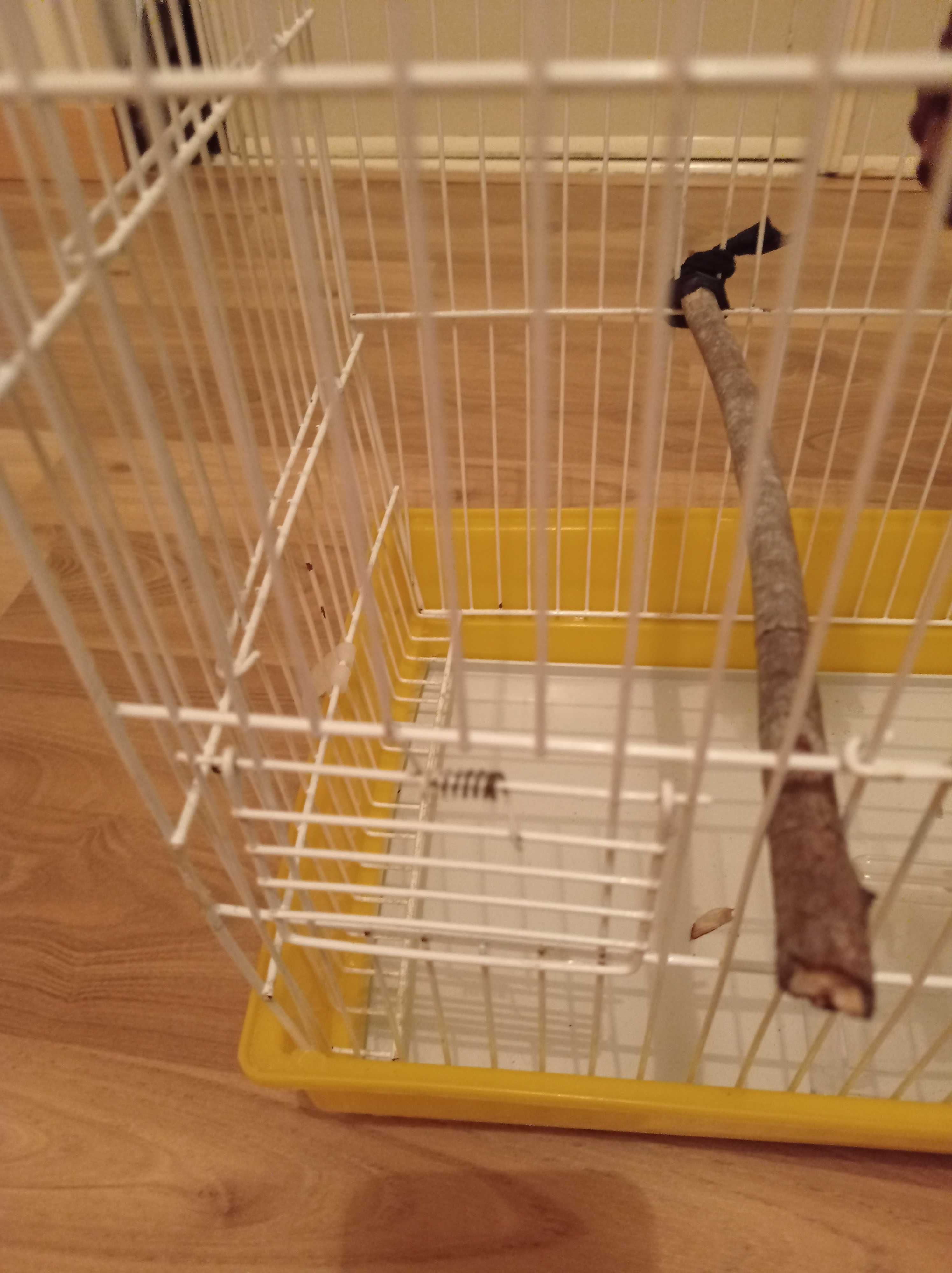 Gaiola Avipar para aves