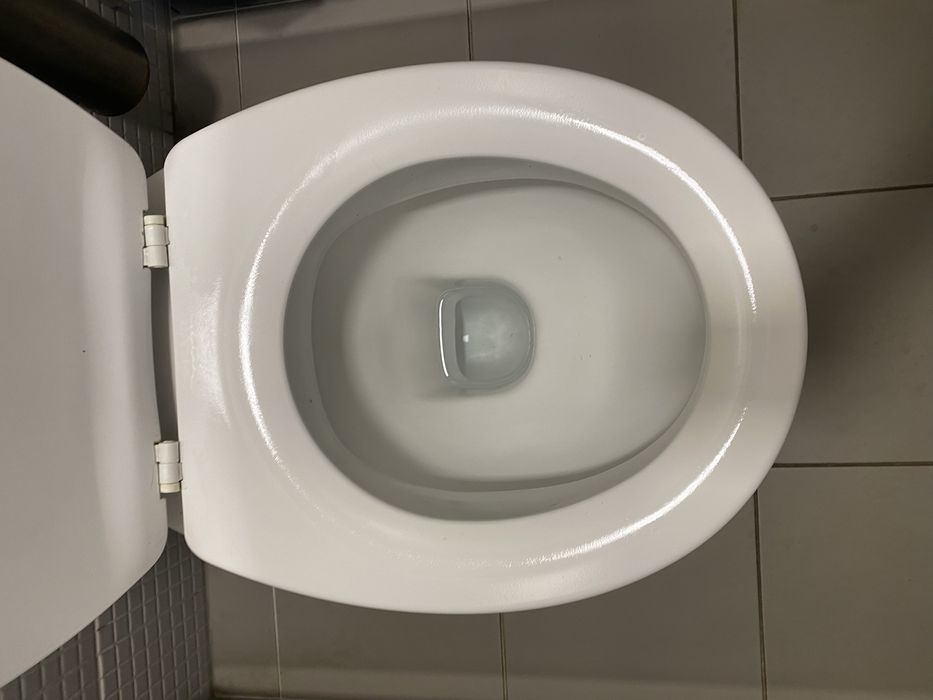 Sanita com autoclismo (bide incluido )