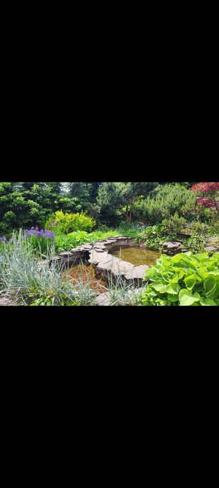 Domki /balia /  Święta//Ferie Zimowe