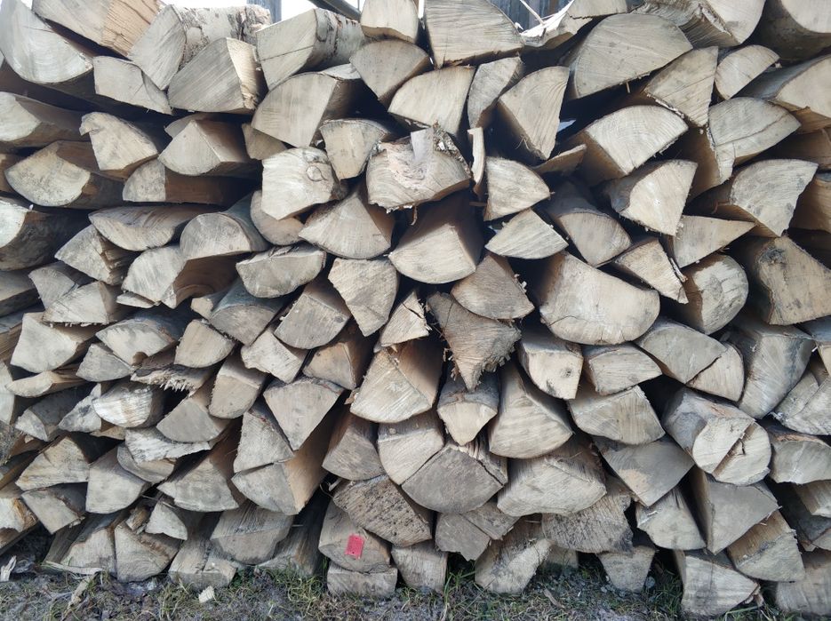 Drewno opałowe/do kominka (buk)