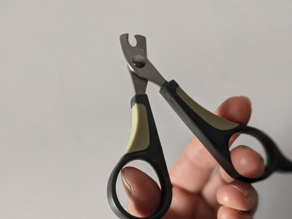 Поводок і ножиці для котиків