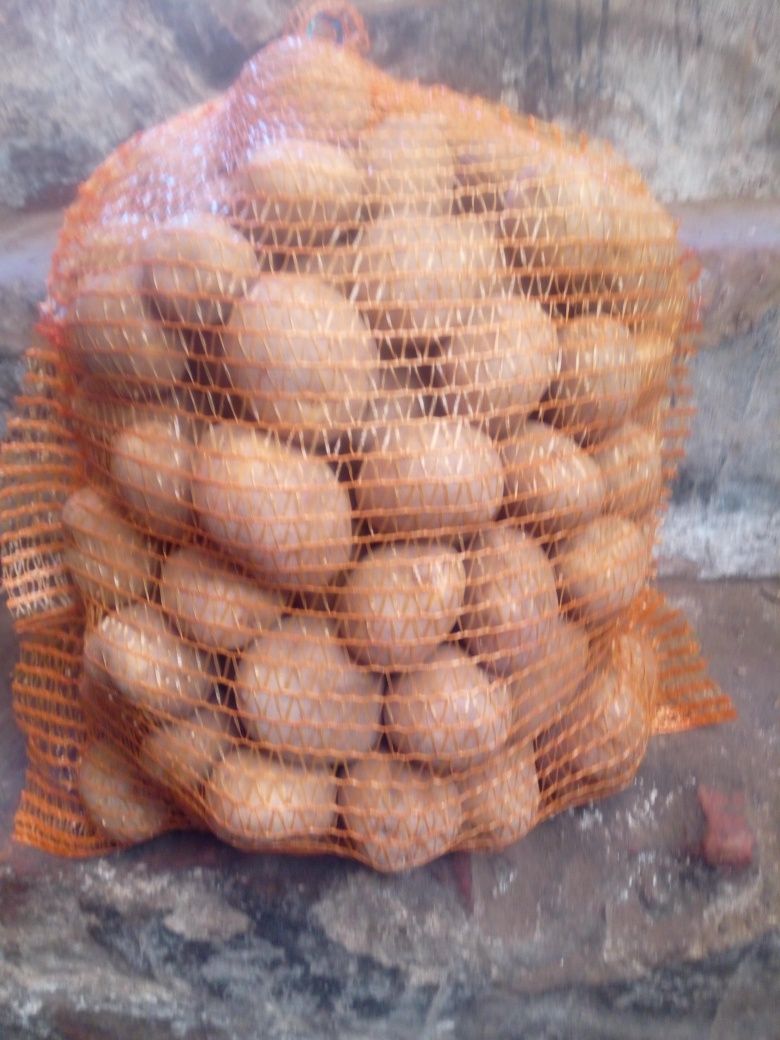 Ziemniaki Vineta