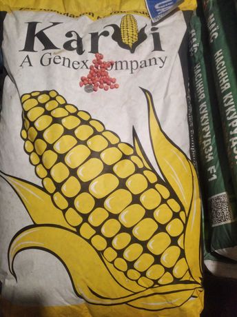 Продам посевную кукурузу