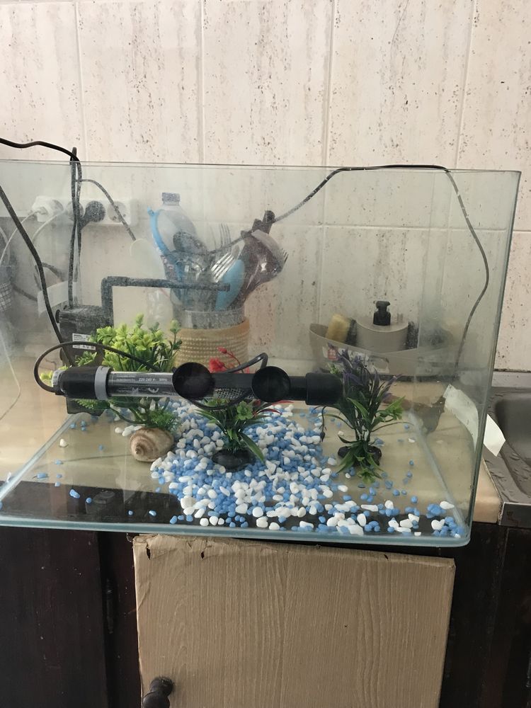 Vendo aquario  de 40 litros