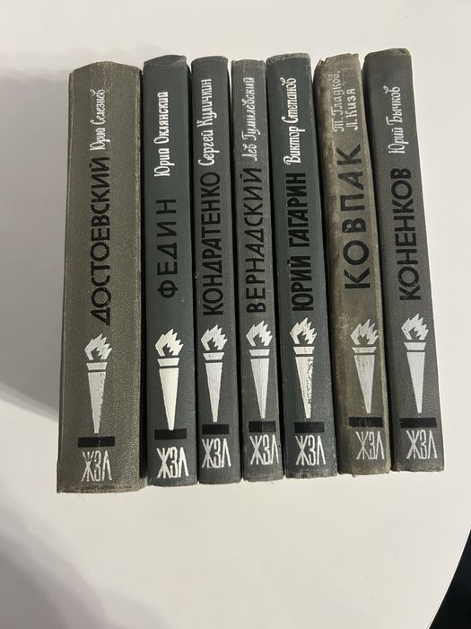 Книги из серии ЖЗЛ Юрий  Гагарин,  Достоевский, Ковпак, Вернадский,