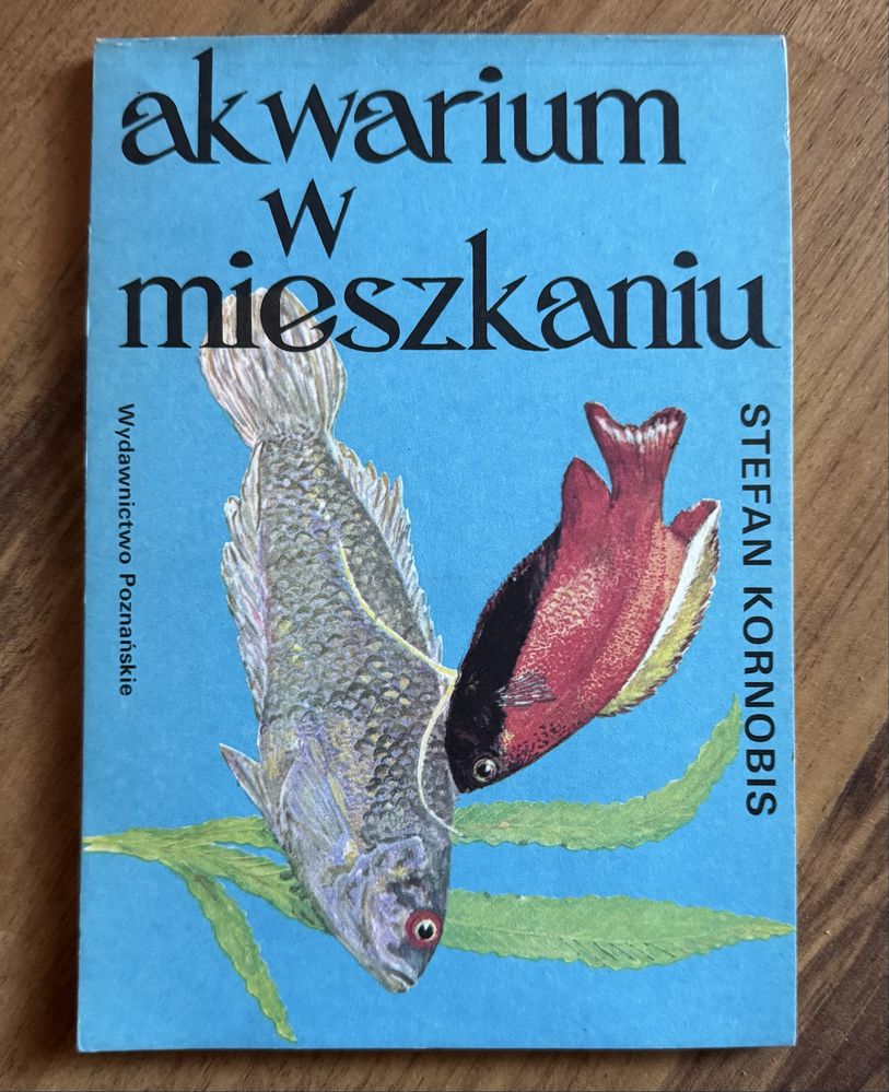 Akwarium w mieszkaniu Stefan Kornobis