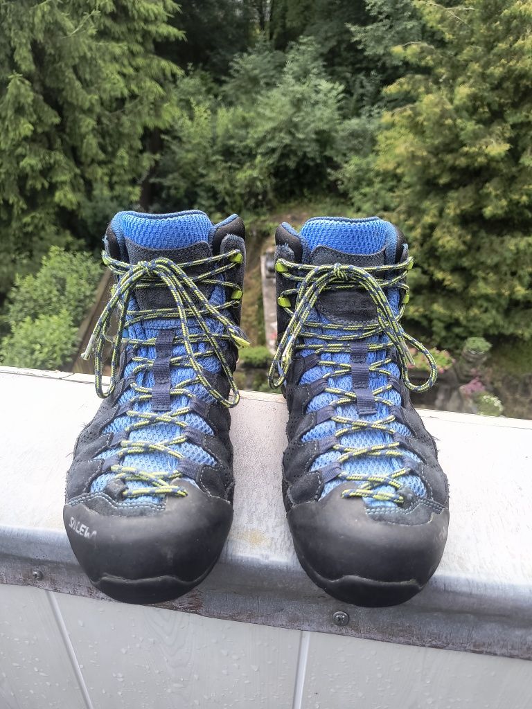 чоловічі трекінгові черевики Salewa MS ALP Trainer 2 Mid GTX.