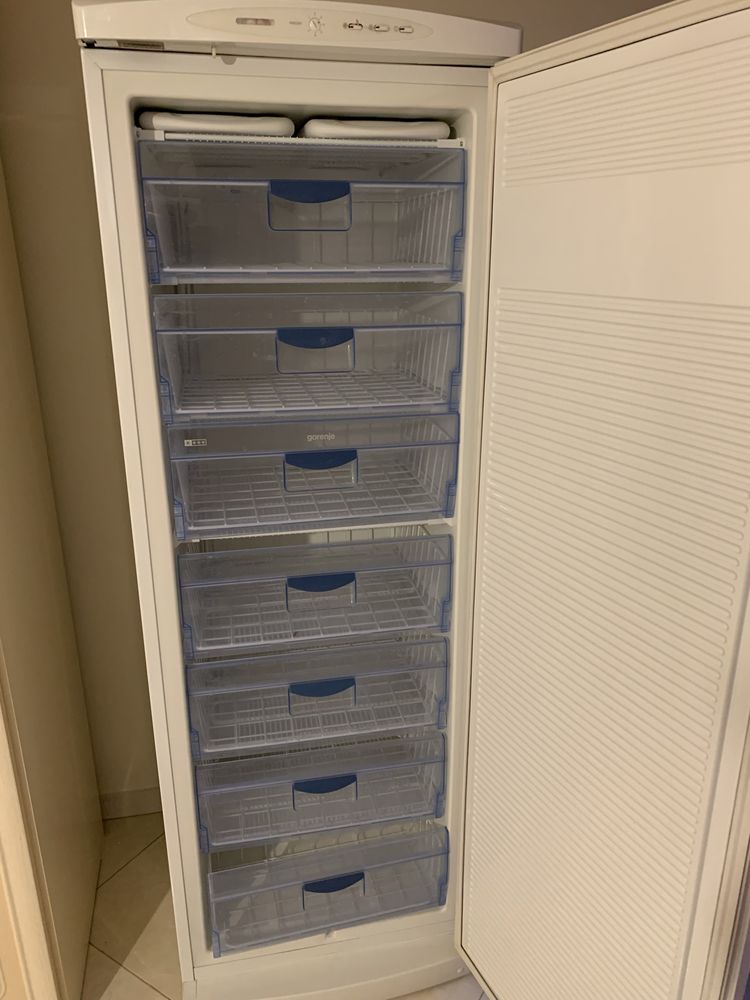 Морозильна камера gorenje F6313W