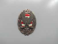 знак Військової академії імені Міклоша Зріньї (Угорщина)