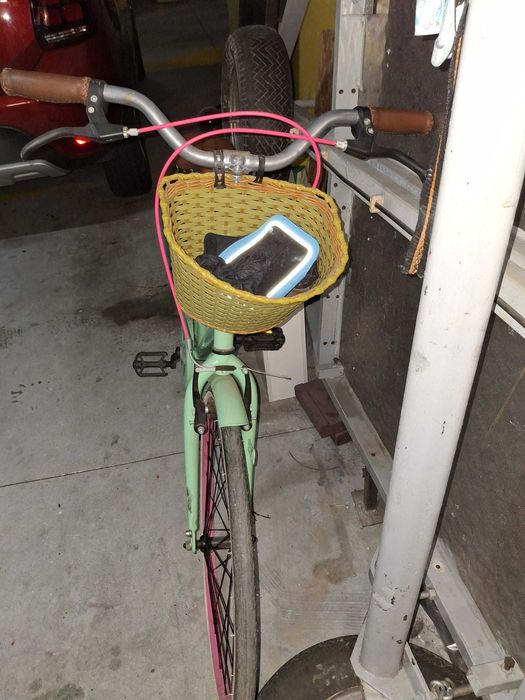 bicicleta com cesto
