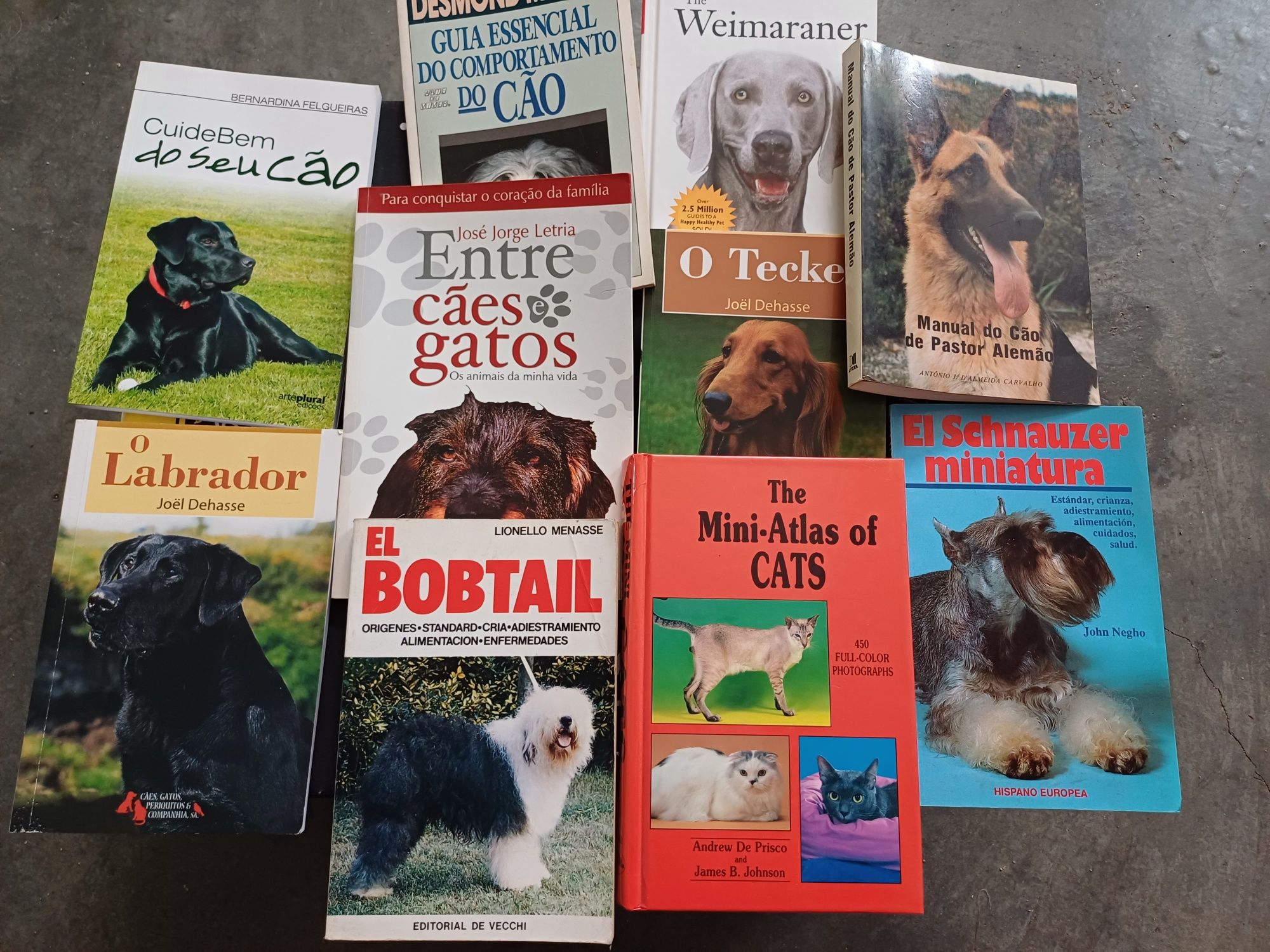 Livros de caes e gatos