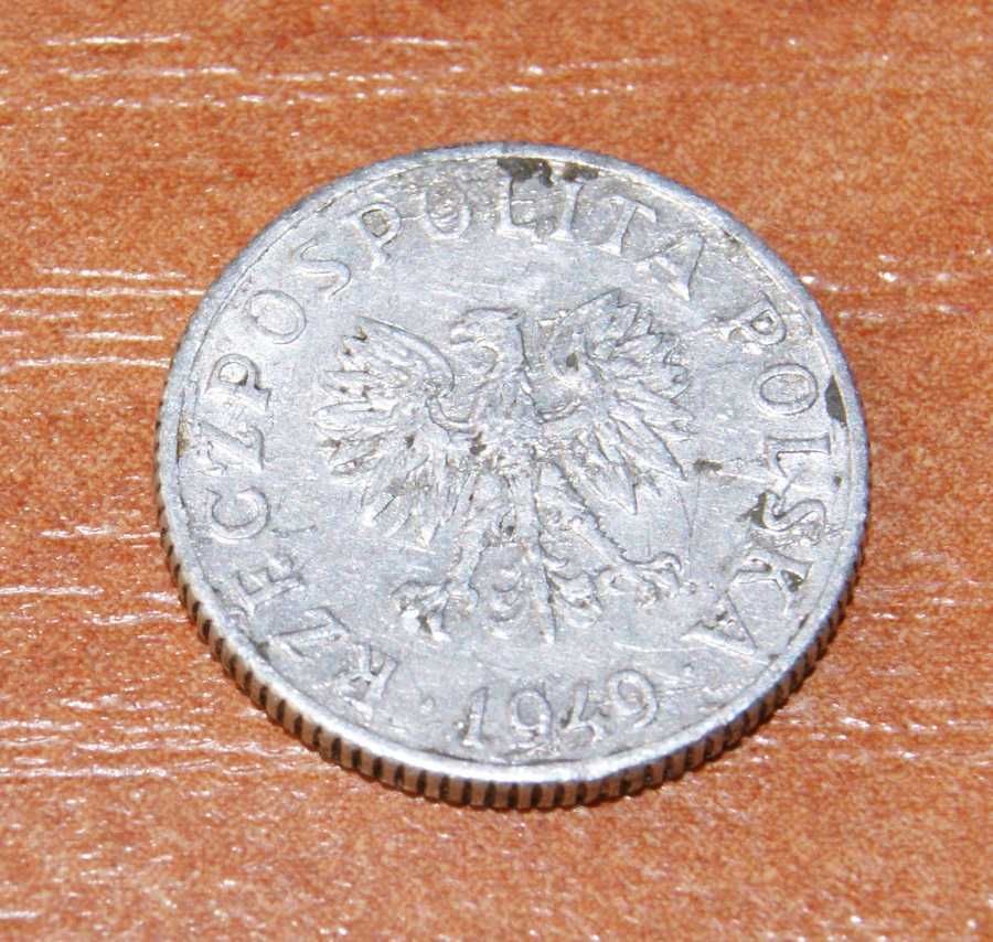 Moneta 1 grosz z 1949 roku