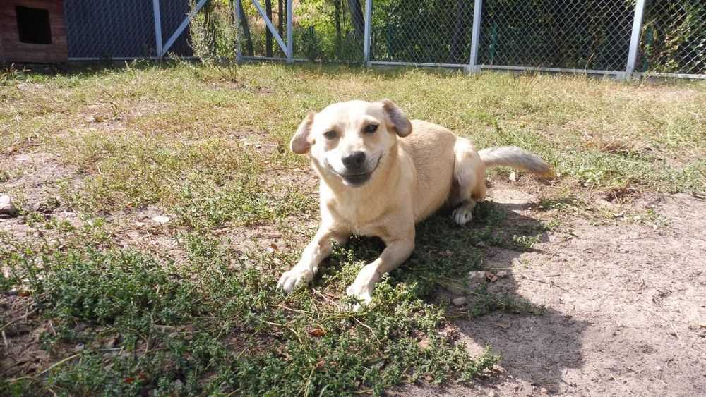 Rozbrykany Tymianek potrzebuje stabilnego domku na już