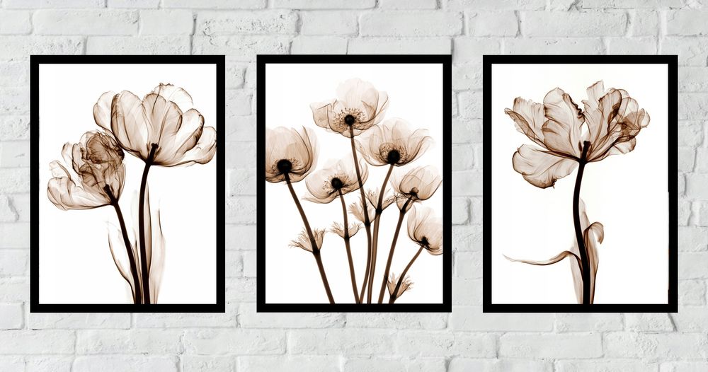 50x40 obrazy w ramie plakaty ramka KWIATY BOHO