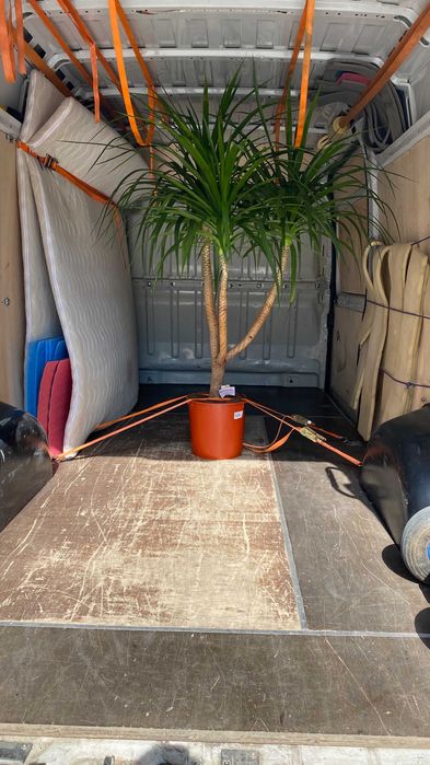 Przeprowadzki - Transport Mebli - Wywóz Starych Mebli na Gratowisko