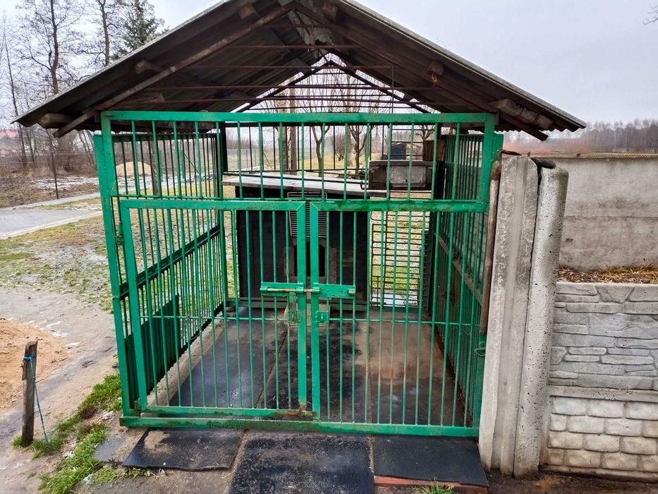 kojec dla psa razem z budą