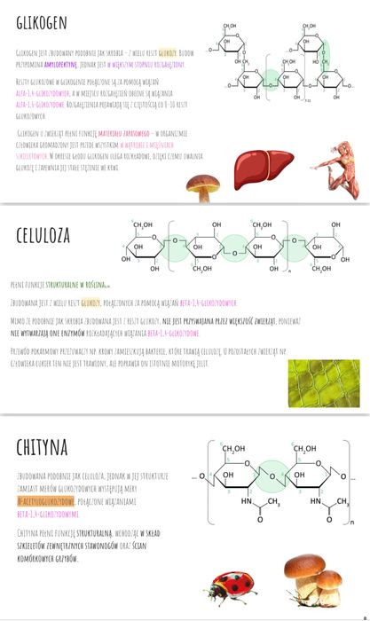 korepetycje Chemia Biologia Matematyka Polski ze studentką medycyny