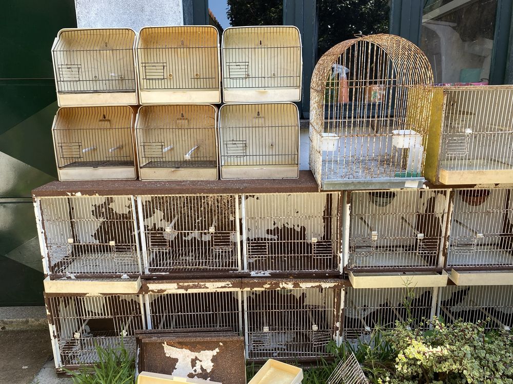 Conjunto de Gaiolas para Aves com Acessórios