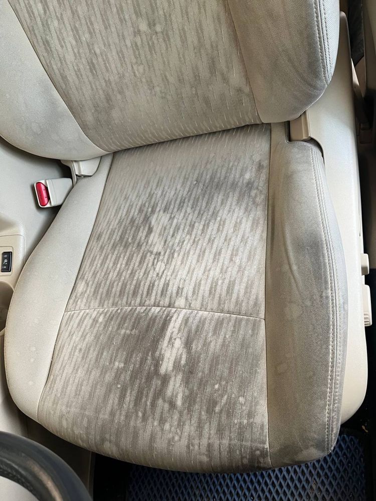 Хімчистка авто Полтава