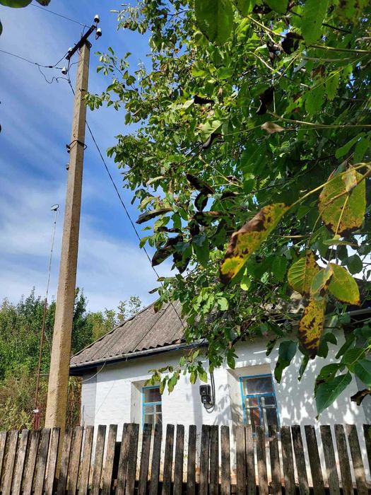 Продається будинок в селі Дібрівка, біля міста Миргород