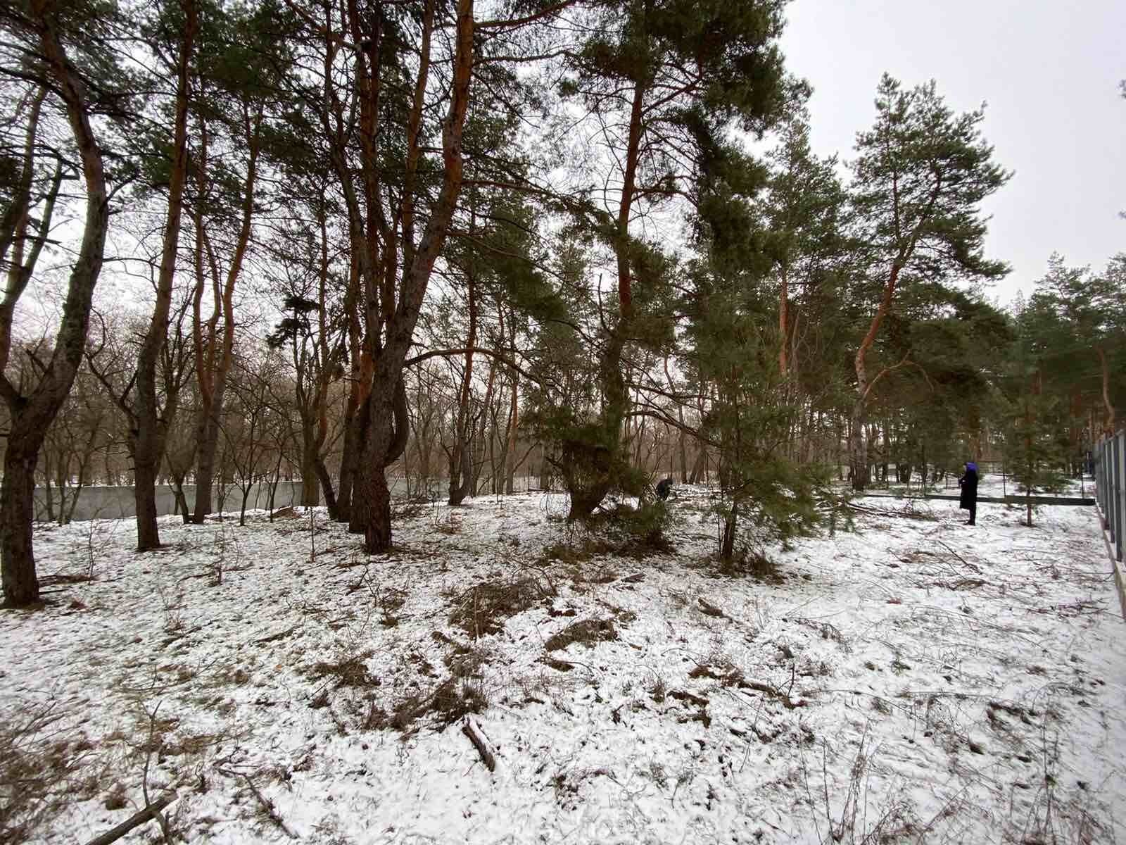 Продам ділянку 10 соток . Сосновий берег ( обухівка ).