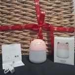 Mini Humidificador - Conforto e Saúde para Seu Espaço!