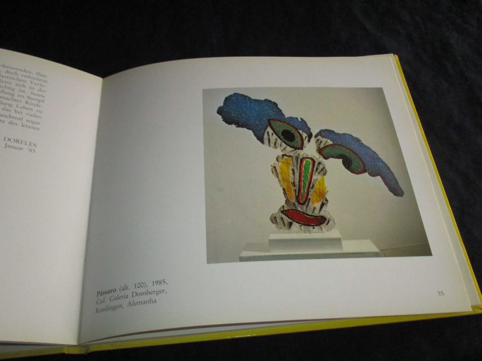 Livro José de Guimarães Esculturas e Pinturas Salette Tavares