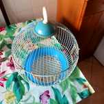 Vendo gaiola para pássaro