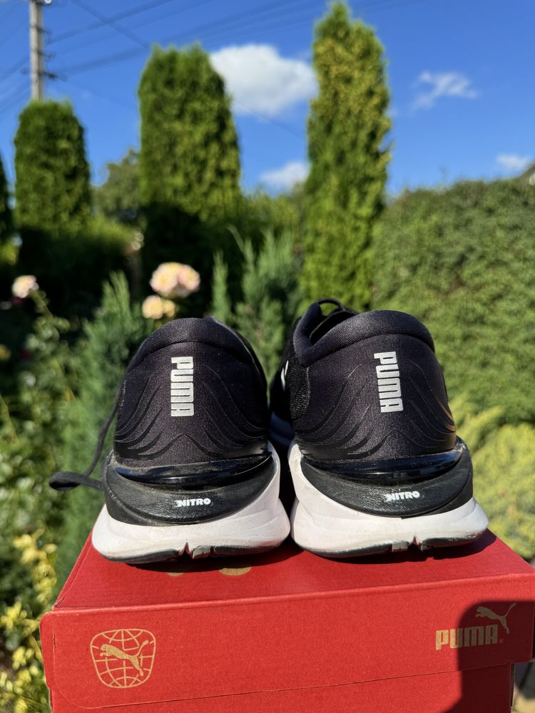 Кросівки Puma оригінал