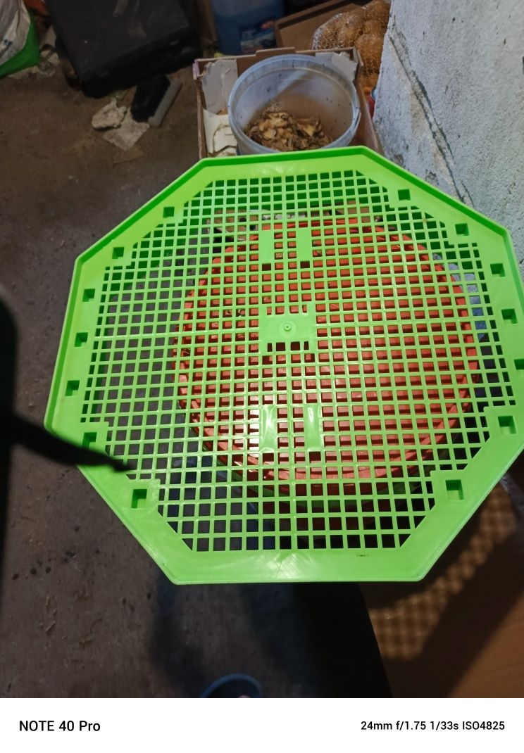 Sprzedam Inkubator Cleo 5 z piętrem i tacami