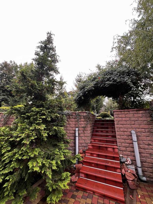 Оренда будинку Забуччя, біля лісу та озера, швидкий виізд на Киів