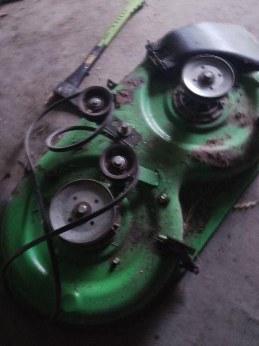 Kosisko w pełni sprawne