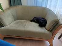Sofa jasnozielona Meblotap