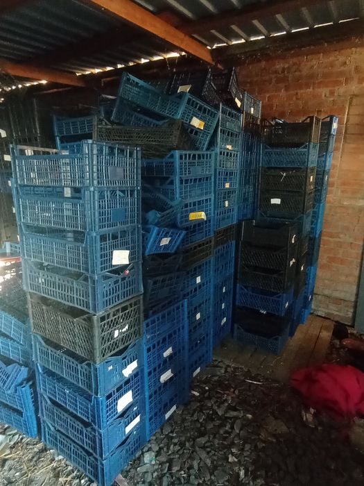 Продам ящики пластикові дерев'яні