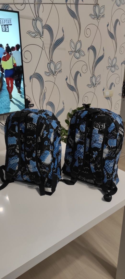 Два рюкзака Insys