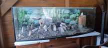 Akwarium 400l filtr grzałka  ozdobamy żwirek 150x50