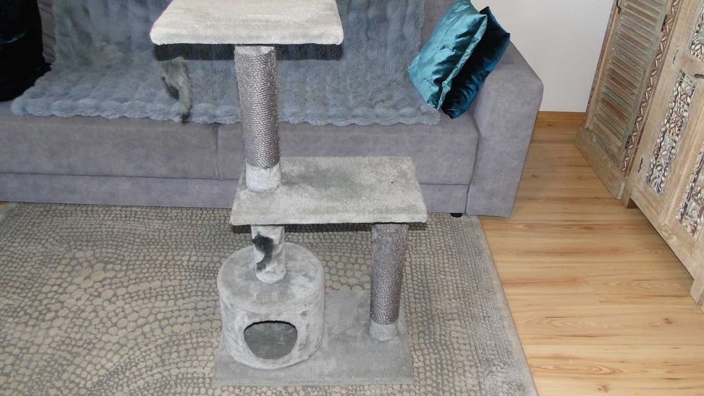 Drapak dla kota duży