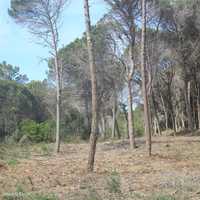 Terreno  para venda