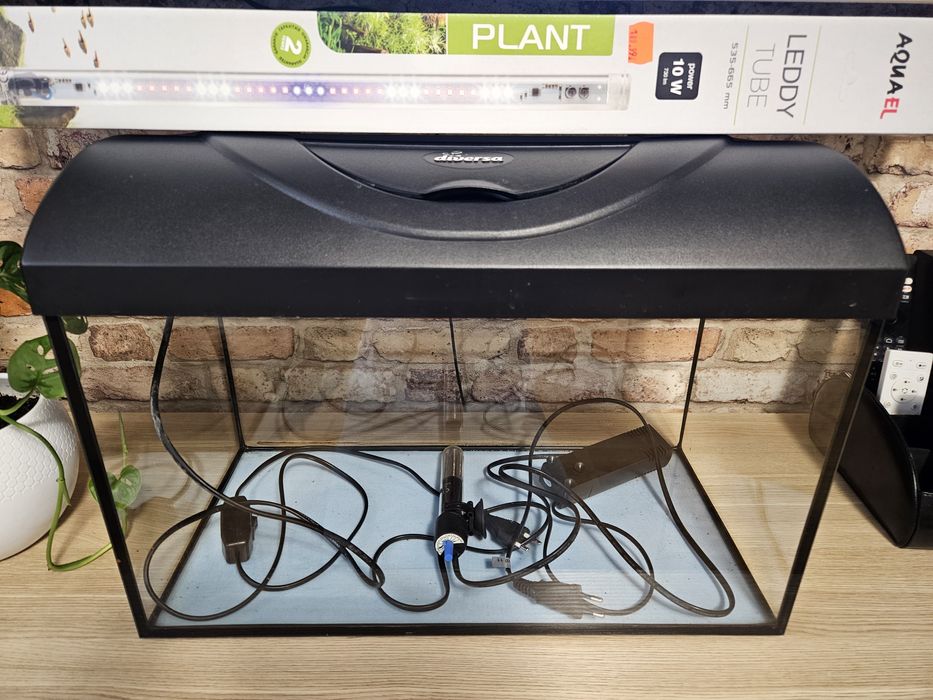 Akwarium 37L. Super zestaw diversa + extra lampa PLANT